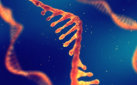 RNA research and therapy