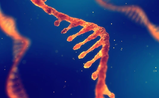 RNA research and therapy