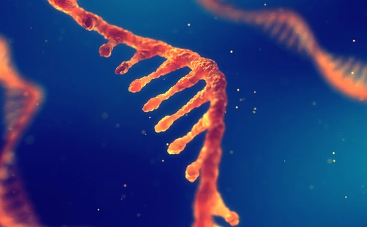RNA research and therapy
