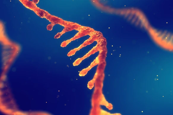 RNA research and therapy