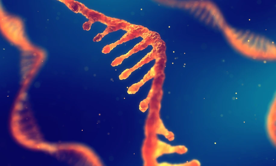 RNA research and therapy