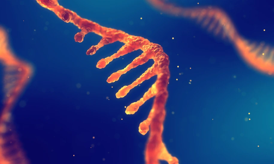 RNA research and therapy