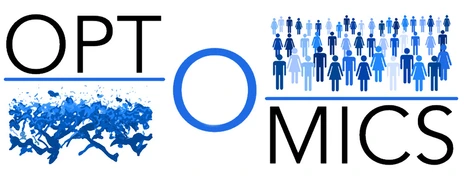 Logo Optimics Project