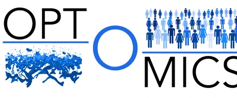 Logo Optimics Project