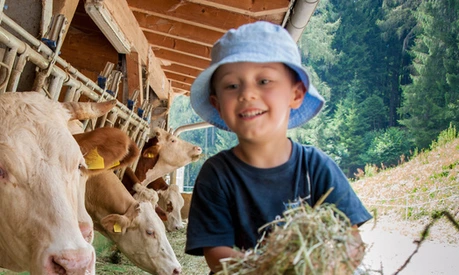 Kind auf dem Bauernhof mit Kühen