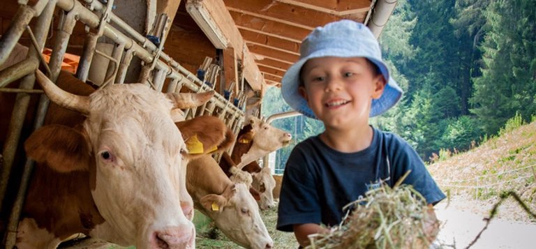 Kind auf dem Bauernhof mit Kühen
