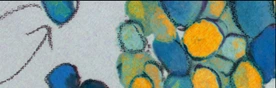 SFB 1054 Cell-Fate Decisions