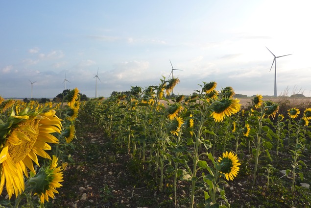 Lokalen landwirtschaftlichen