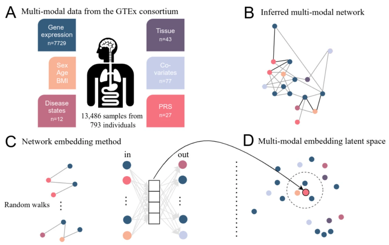 2023-02-24_MarsicoLab-website_graph-project-illustration_2
