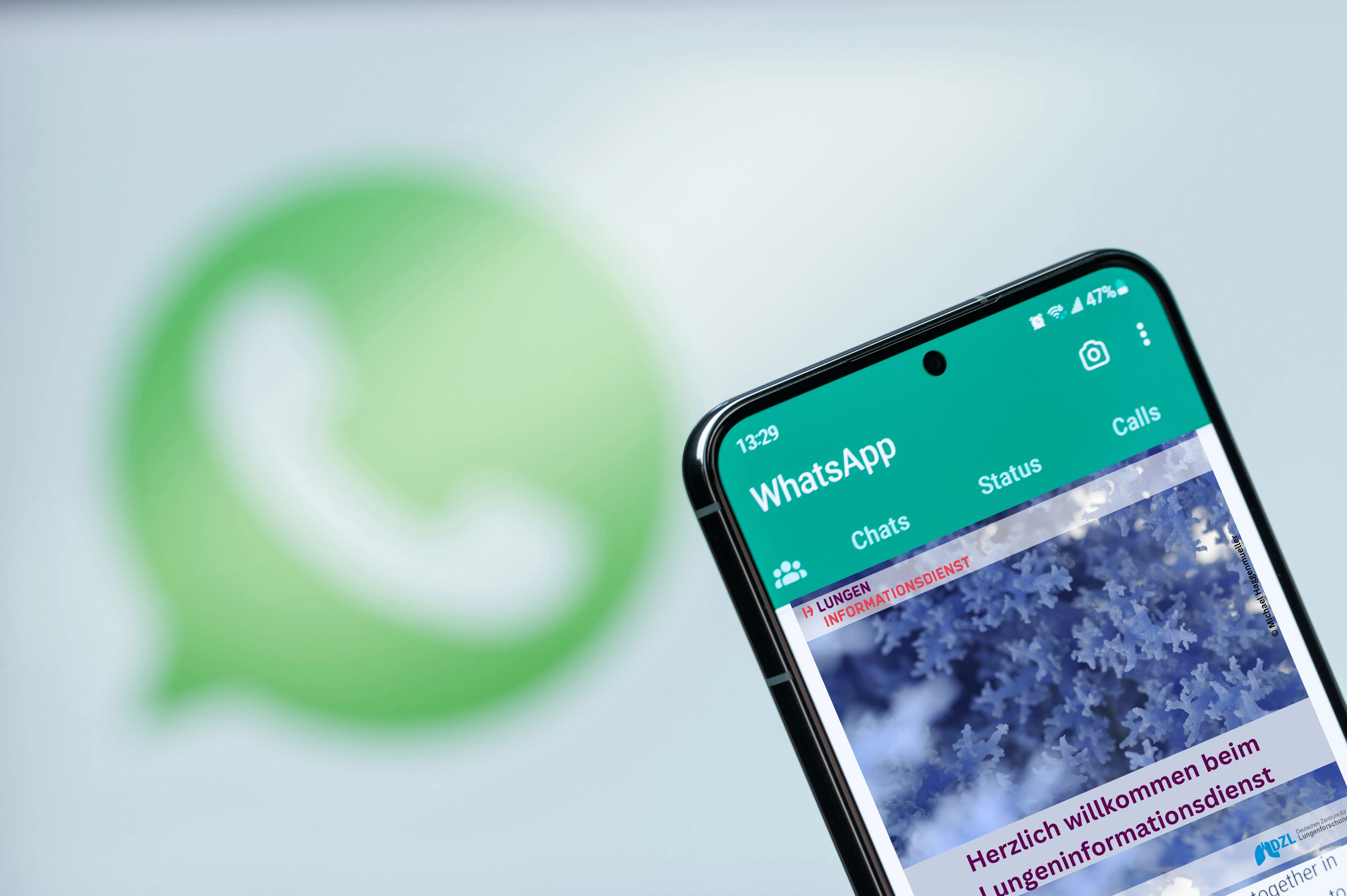 WhatsApp Chat und Kanal