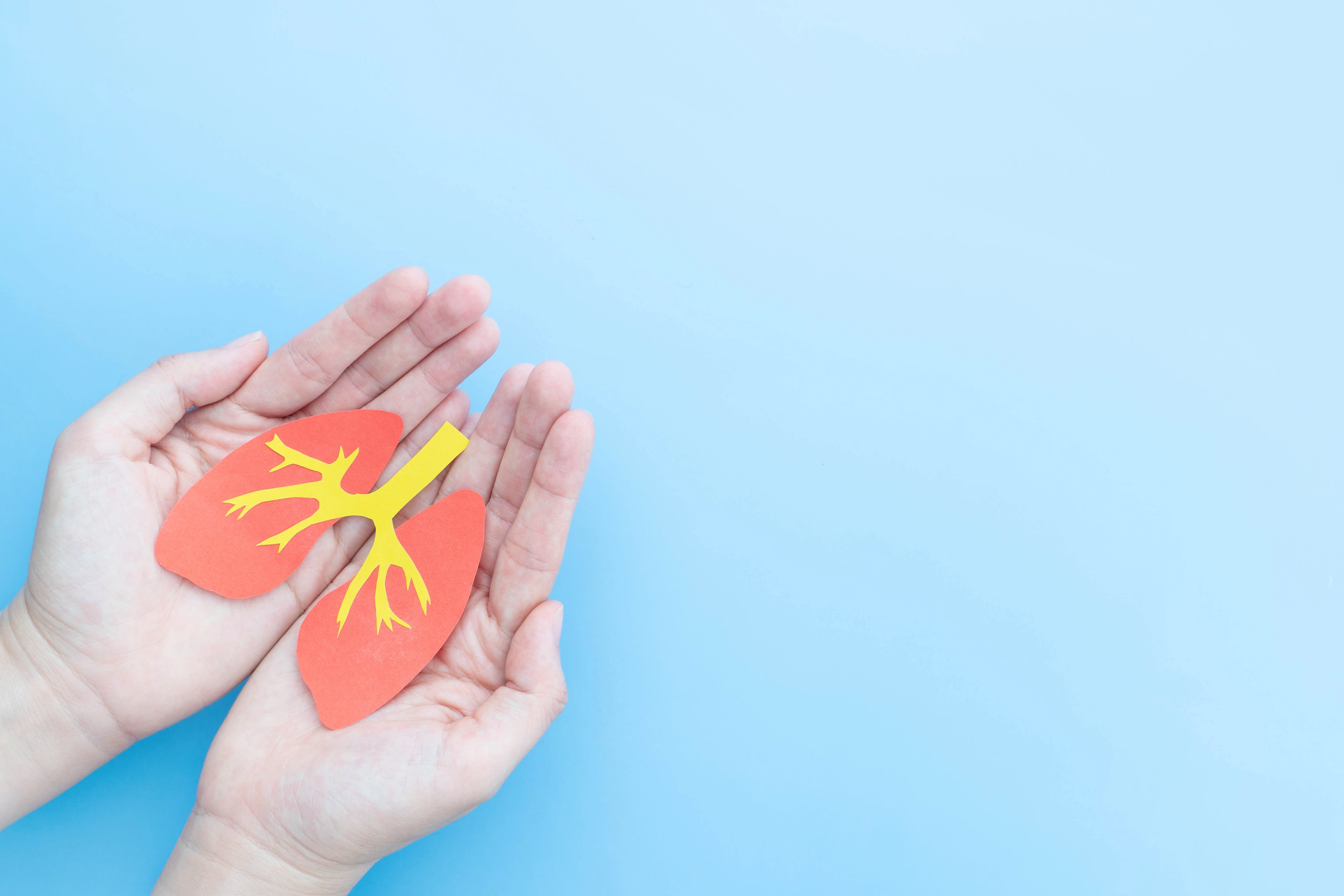 Hände, die ein Organ halten