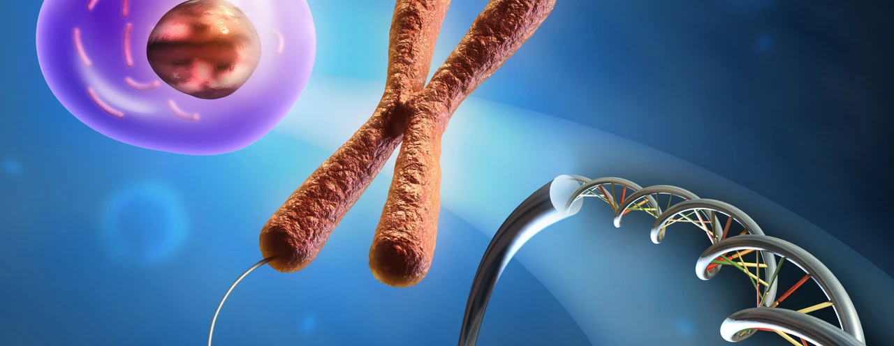 From Dna to cell