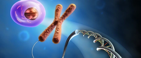 From Dna to cell