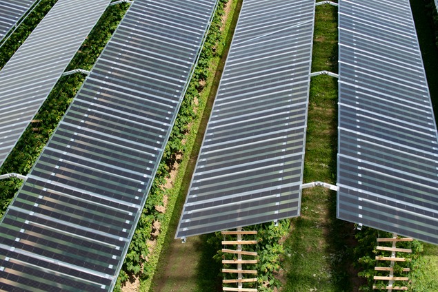 Agri-PV