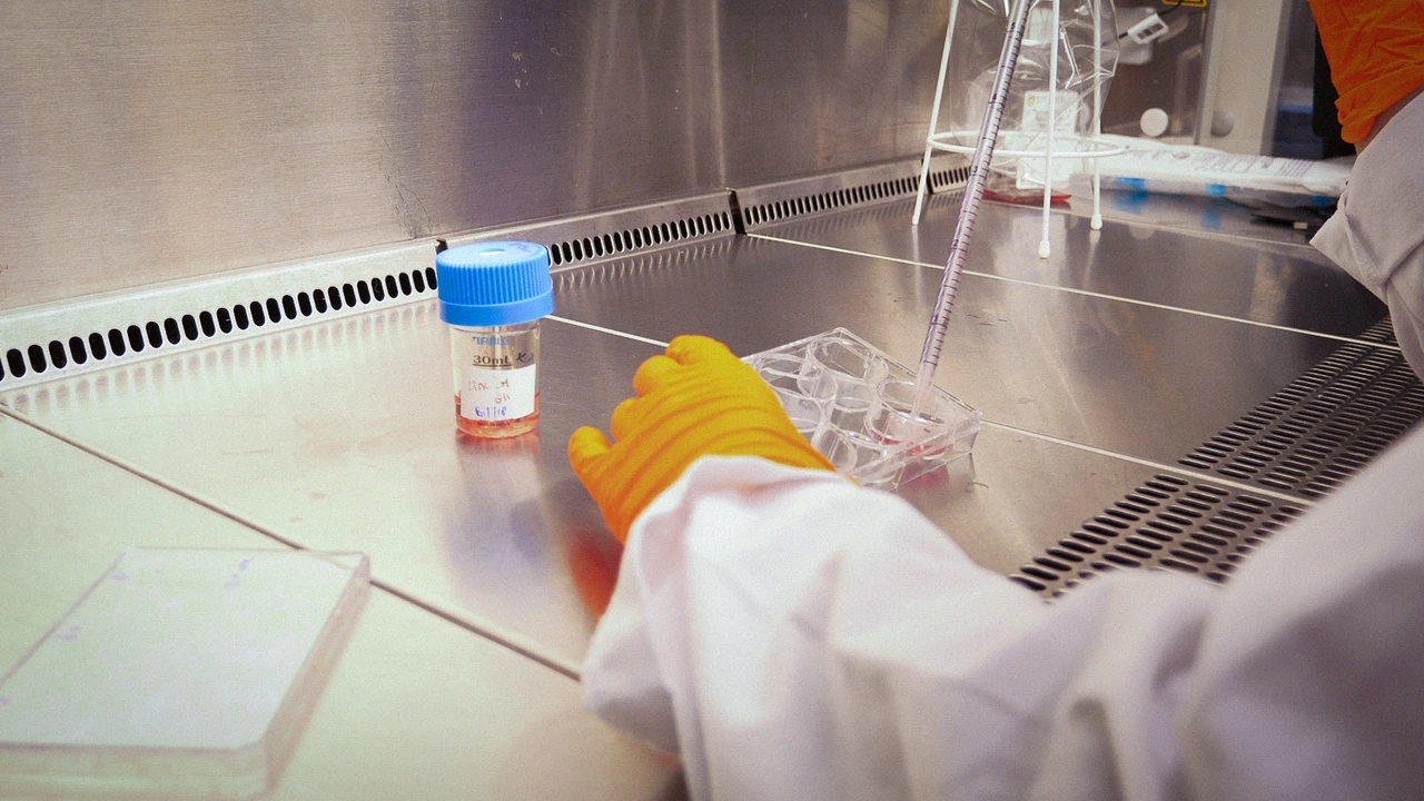 Semb Lab Behind the Scenes