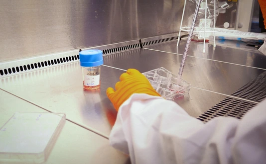 Semb Lab Behind the Scenes