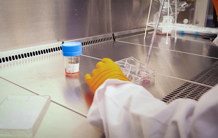 Semb Lab Behind the Scenes