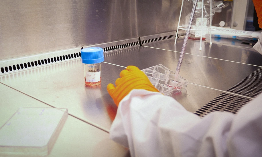 Semb Lab Behind the Scenes