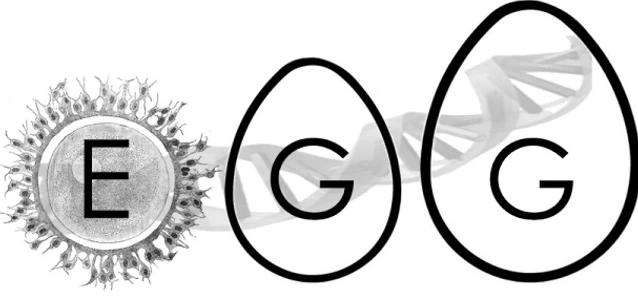 Logo_egg Early Growth Genetics Consortium