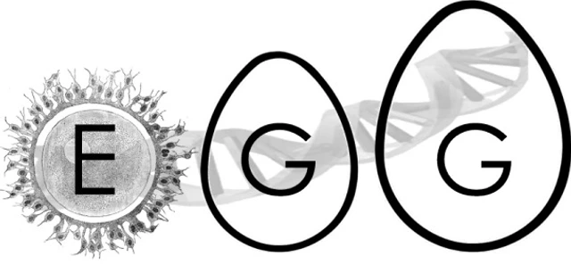 Logo_egg Early Growth Genetics Consortium