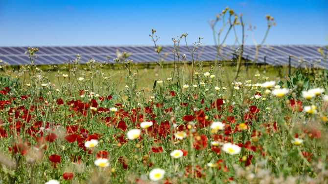 Solar farm