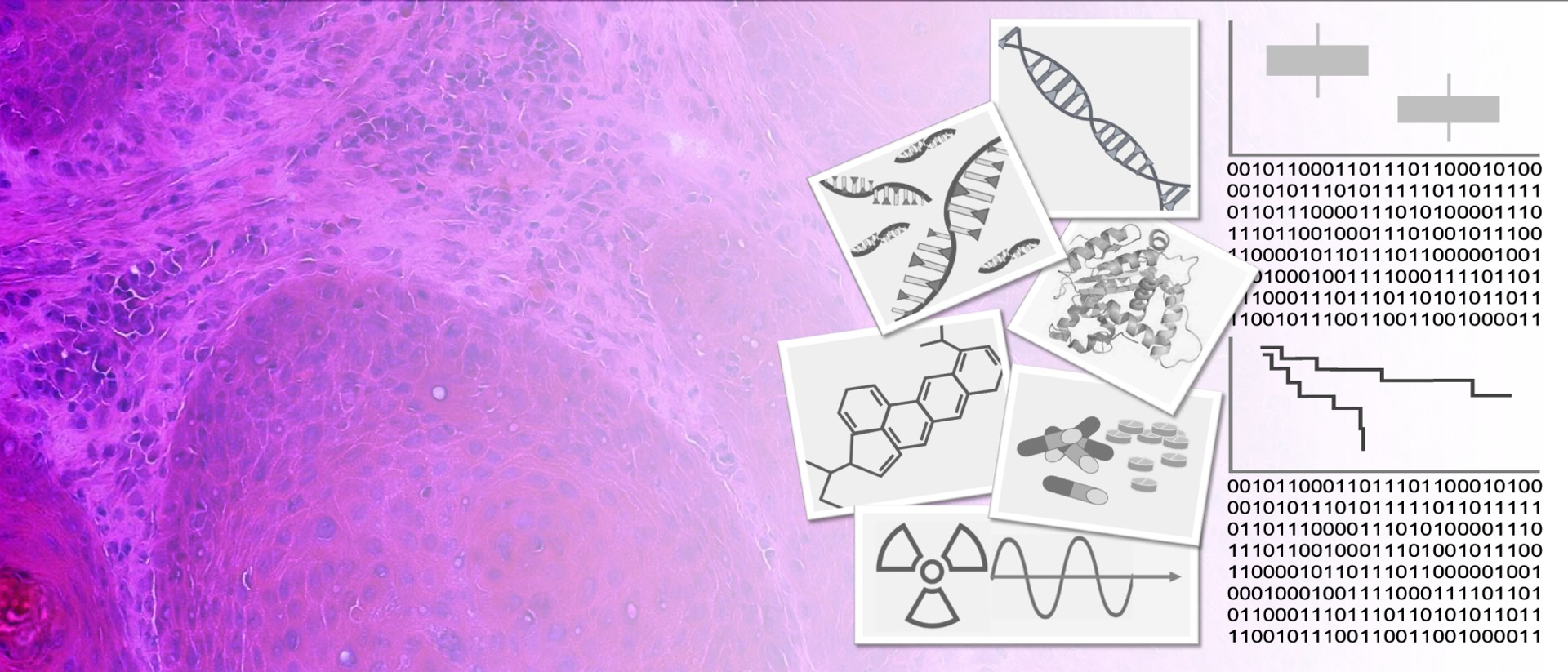 ZYTO_Metabolic_therapy_response