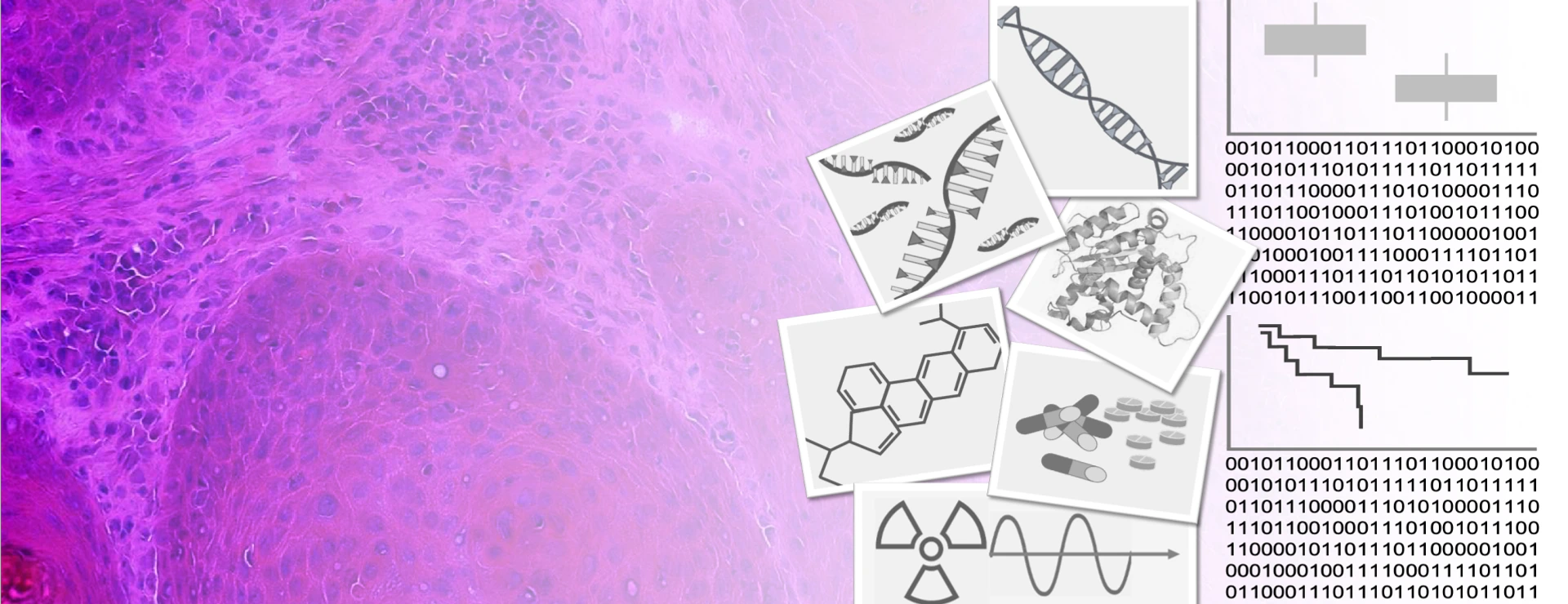 ZYTO_Metabolic_therapy_response