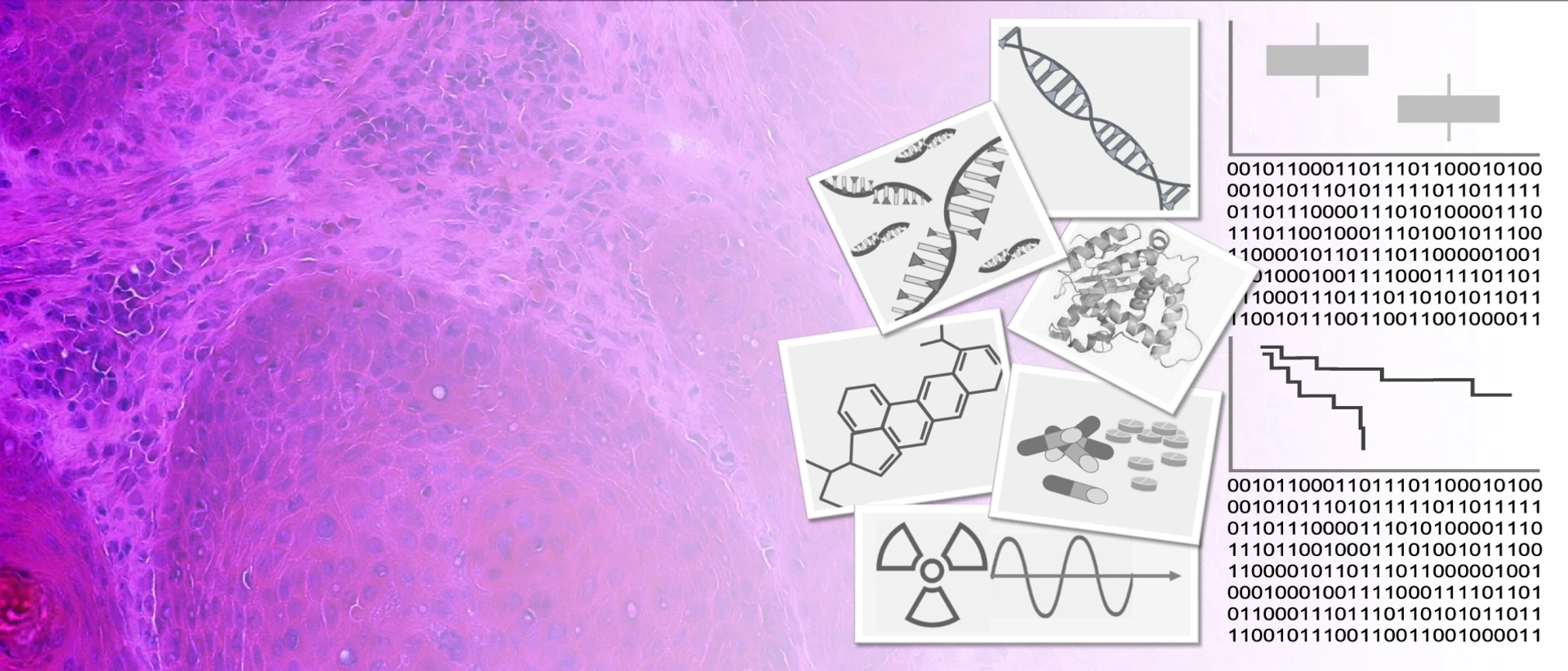ZYTO_Metabolic_therapy_response
