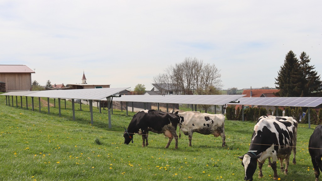 Nos références agrivoltaïques