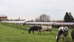 Nos références agrivoltaïques