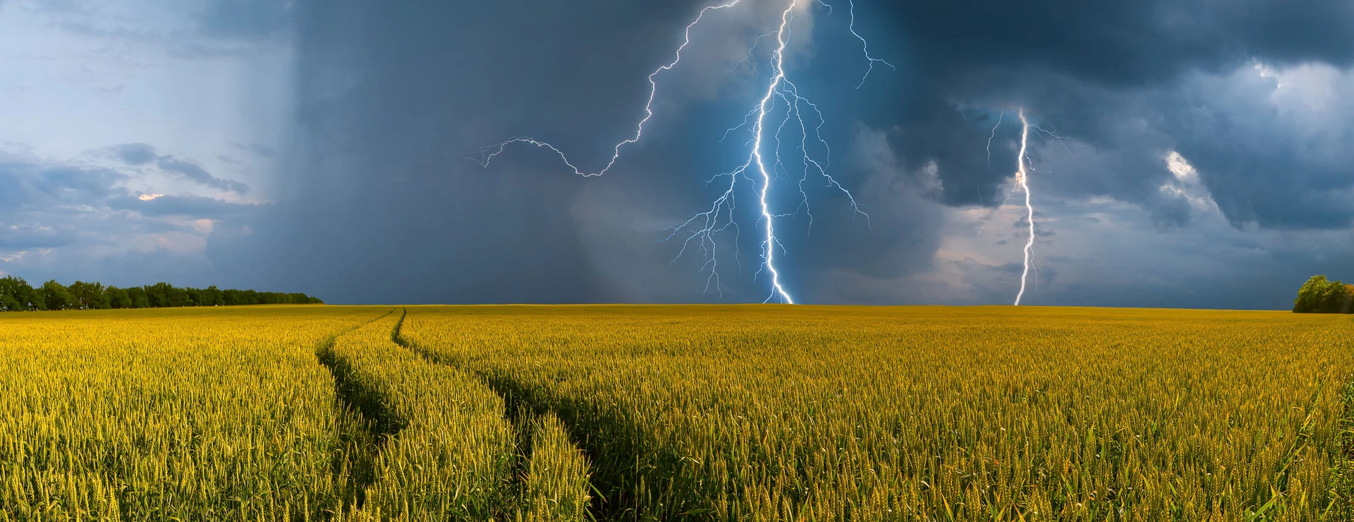 Gewitter - Asthma