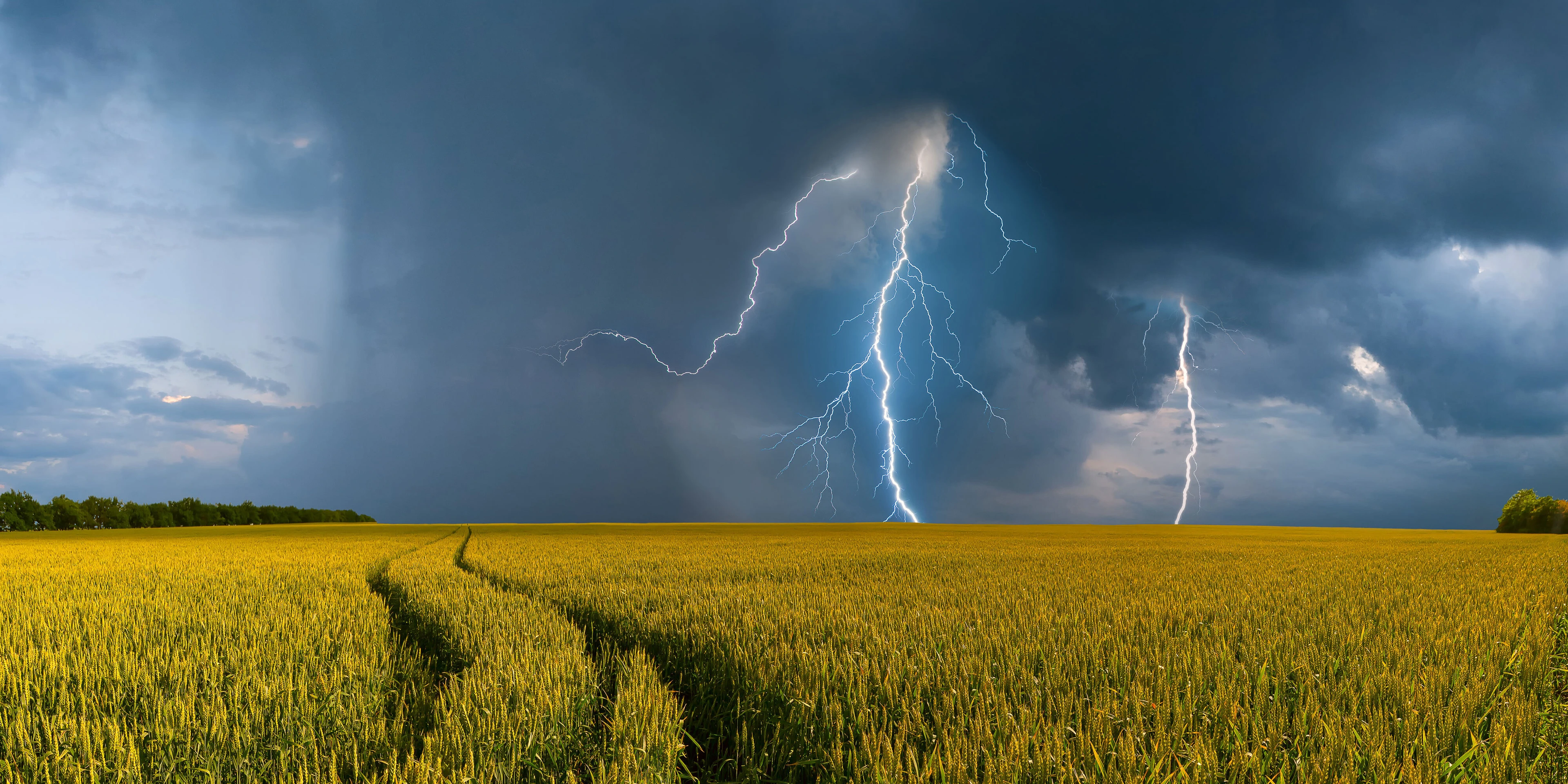 Gewitter im Sommer kann die Symptome von Heuschnupfen und allergischem Asthma verstärkens Asthma auslösen 