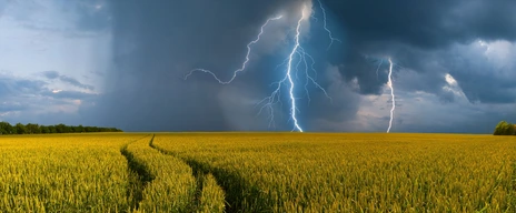 Gewitter - Asthma