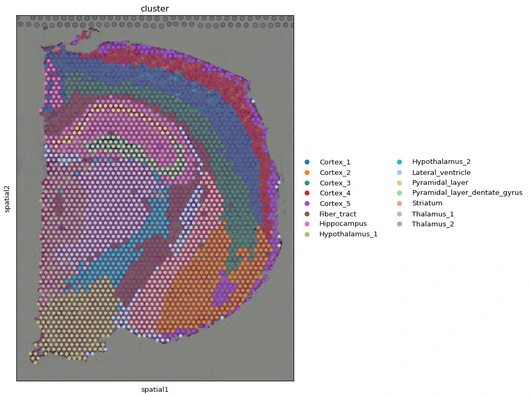 Spatial transcriptomics and Imaging