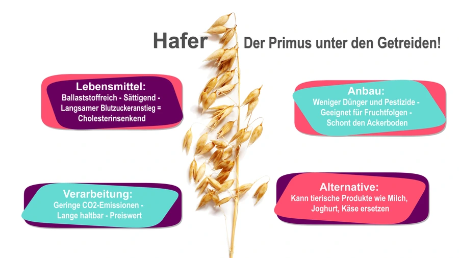 Hafergrafik_PGSB_deutsch_1.2_jpeg