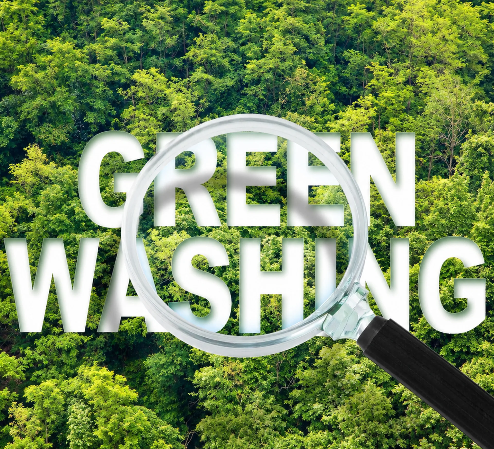 Greenwashing im blühenden Wald