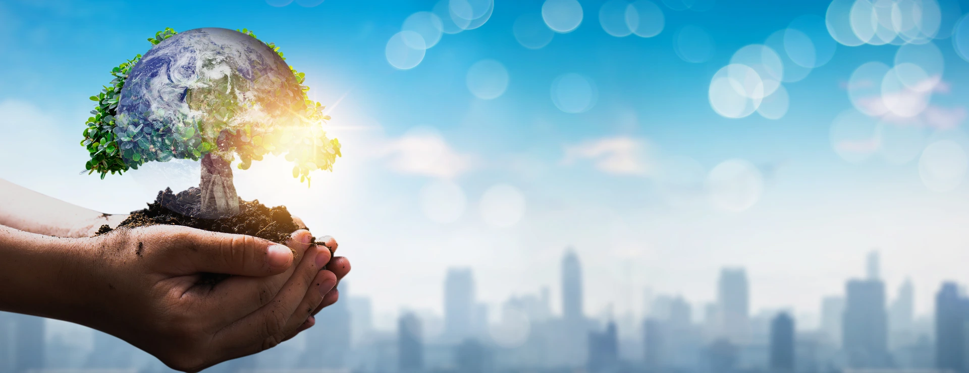 Save world from pollution and particulate matter with diameter of less than 2.5 µm