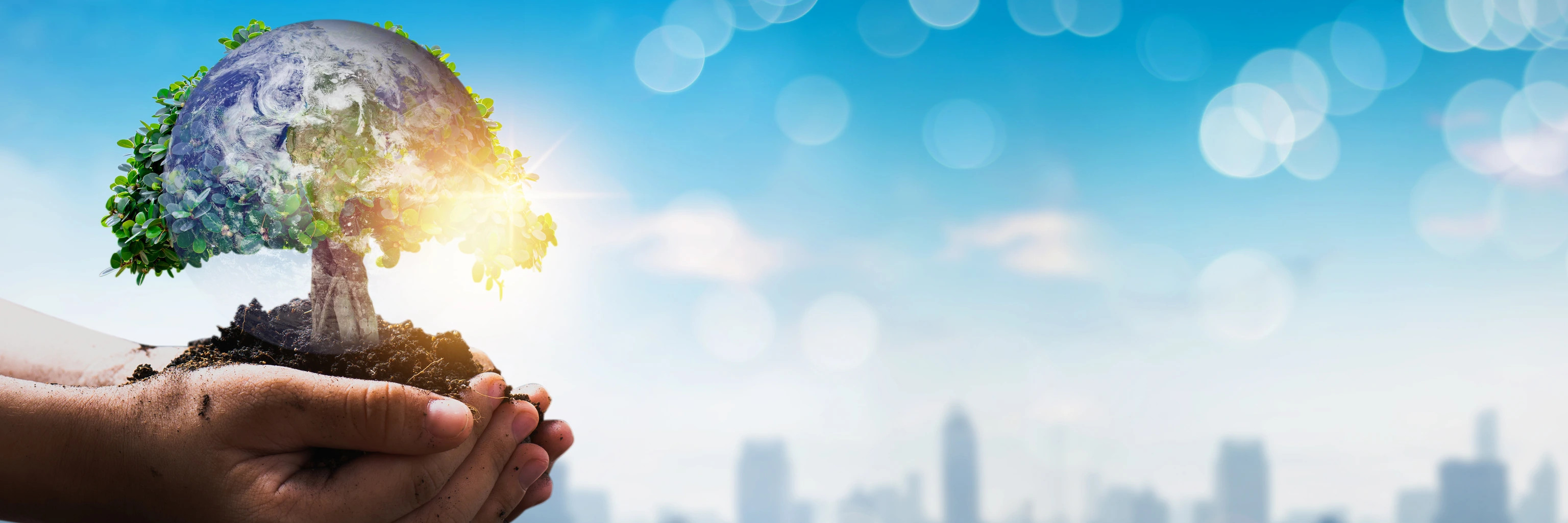 Save world from pollution and particulate matter with diameter of less than 2.5 µm