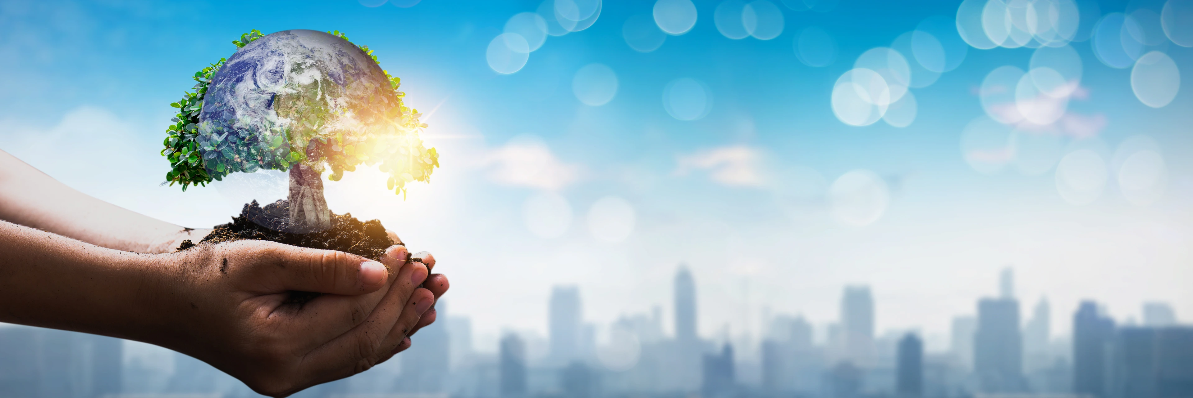 Save world from pollution and particulate matter with diameter of less than 2.5 µm