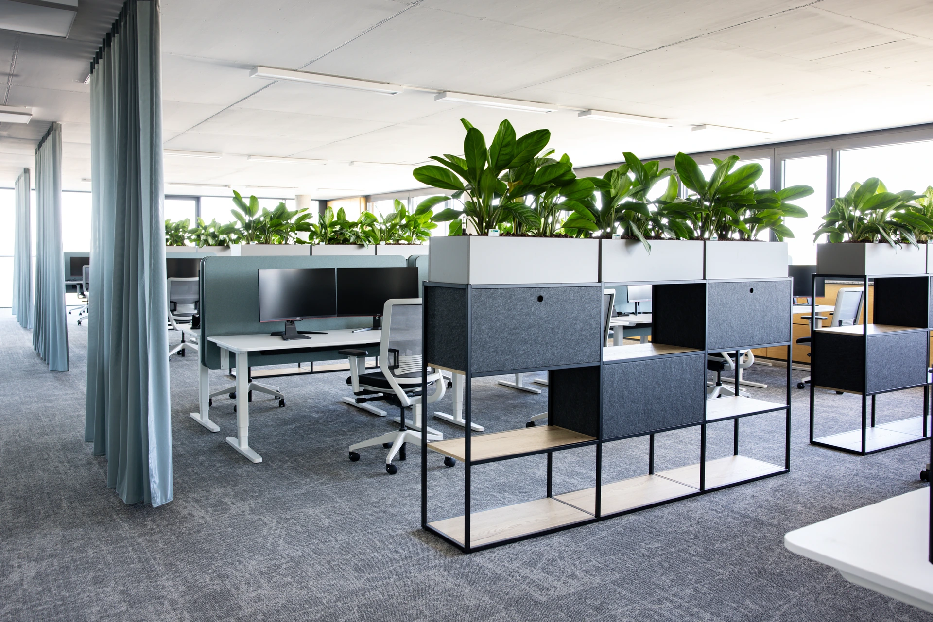 AcMedia Image