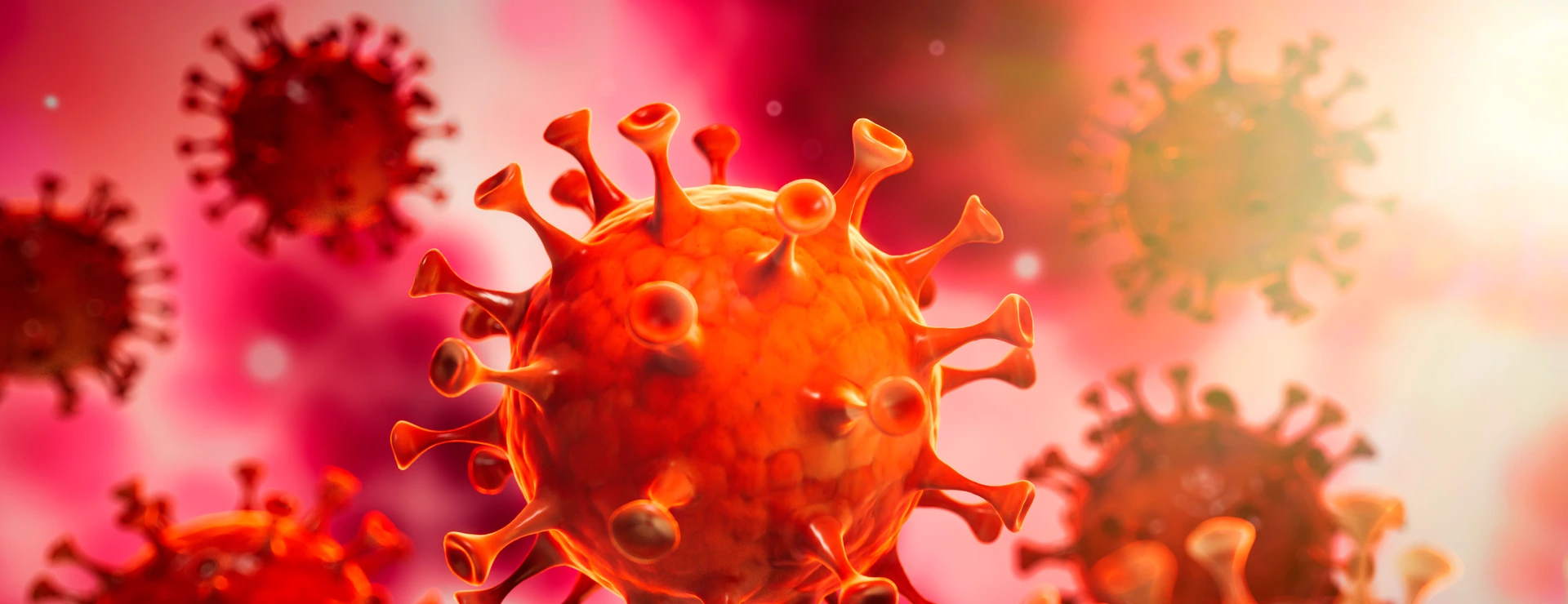 Corona Virus im Inneren des Körpers - Wuhan Virus