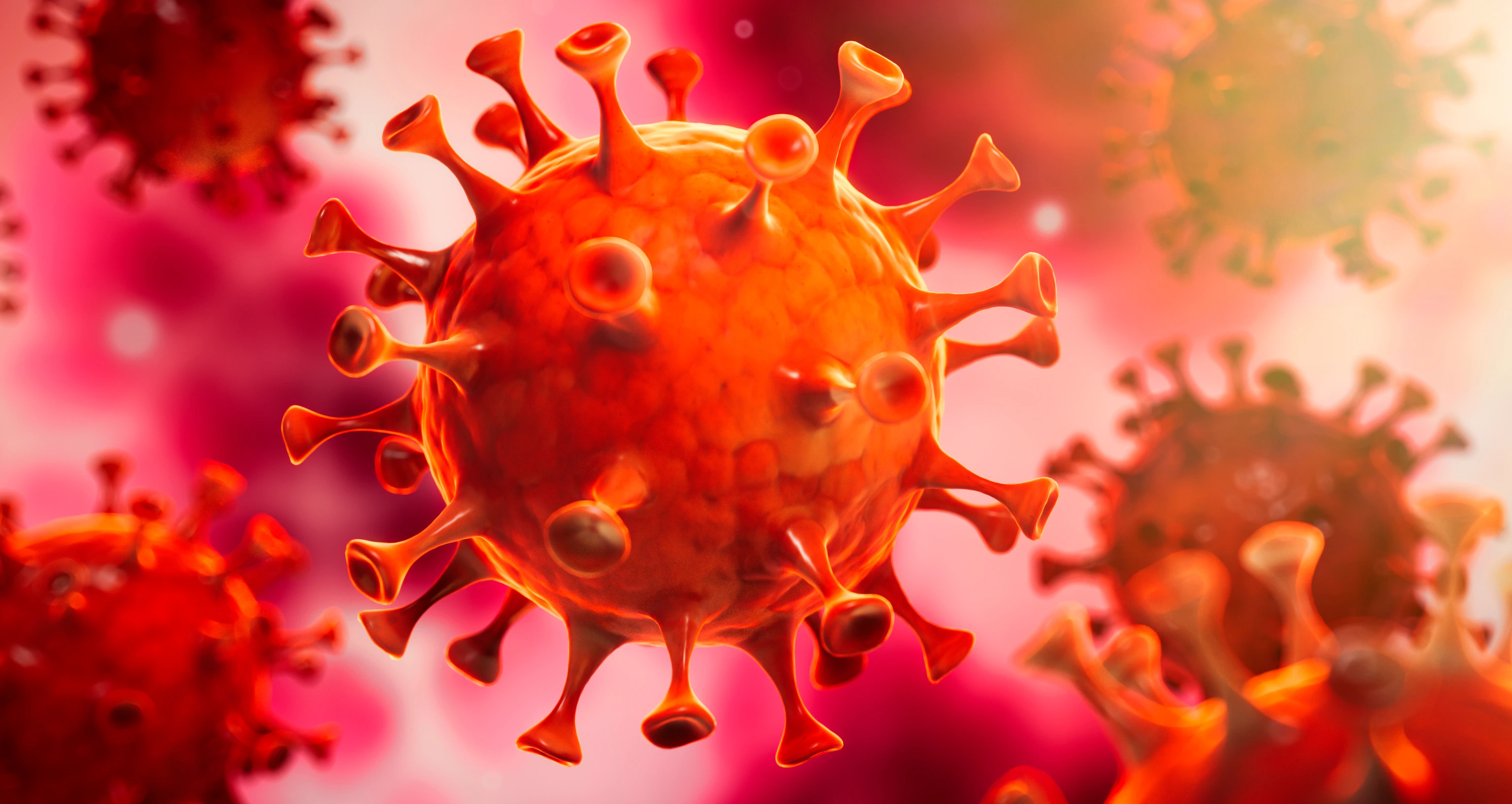 Corona Virus im Inneren des Körpers - Wuhan Virus