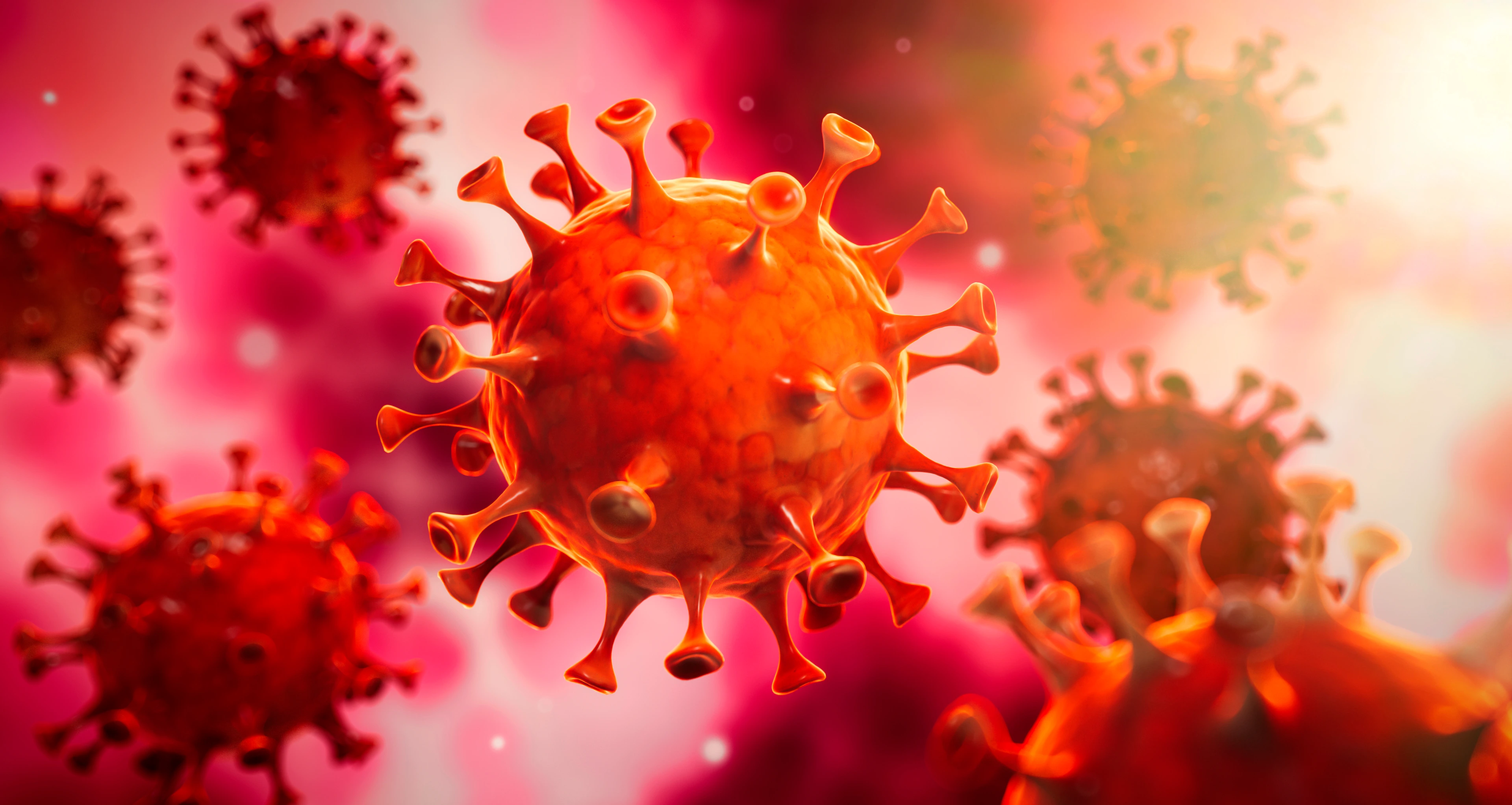 Corona Virus im Inneren des Körpers - Wuhan Virus