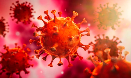 Corona Virus im Inneren des Körpers - Wuhan Virus