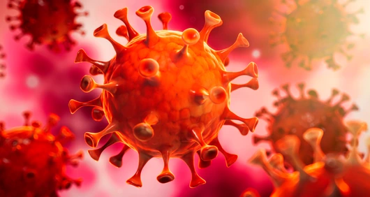 Corona Virus im Inneren des Körpers - Wuhan Virus