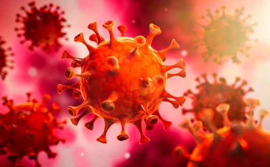 Corona Virus im Inneren des Körpers - Wuhan Virus