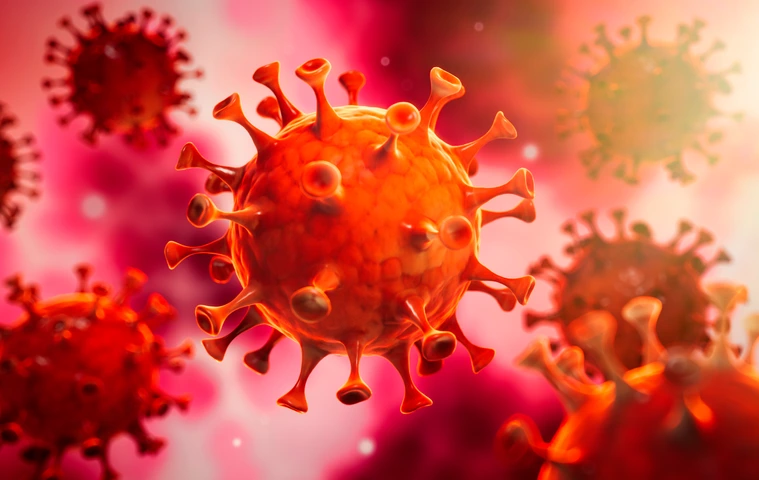 Corona Virus im Inneren des Körpers - Wuhan Virus