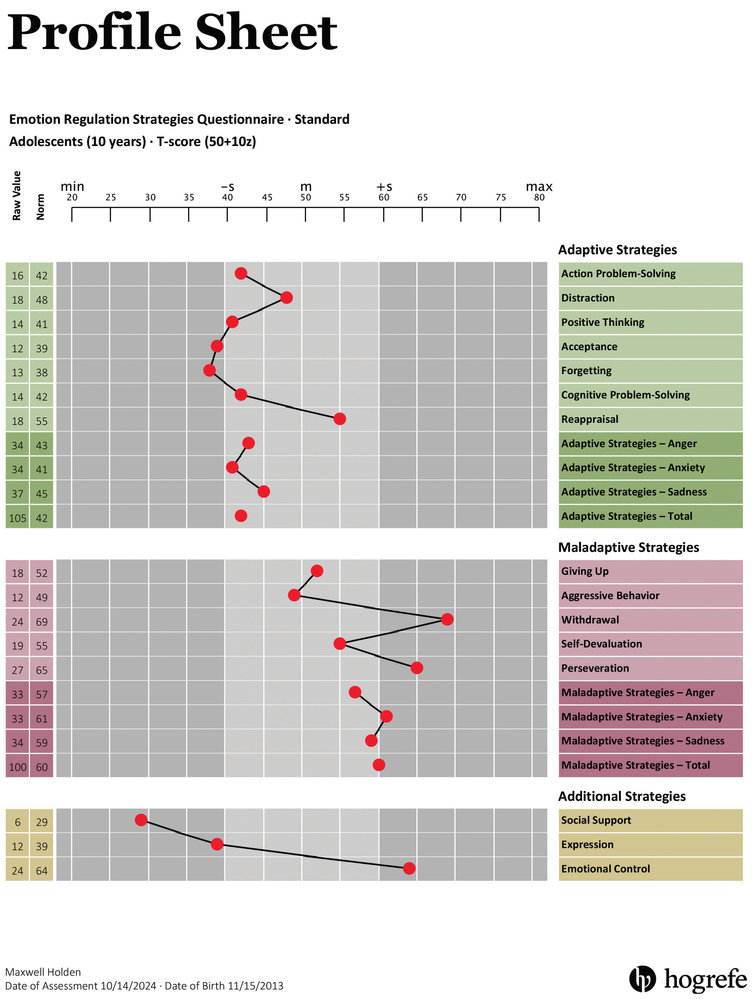 Profile sheet for Maxwell's FEEL-KJ-2 Results