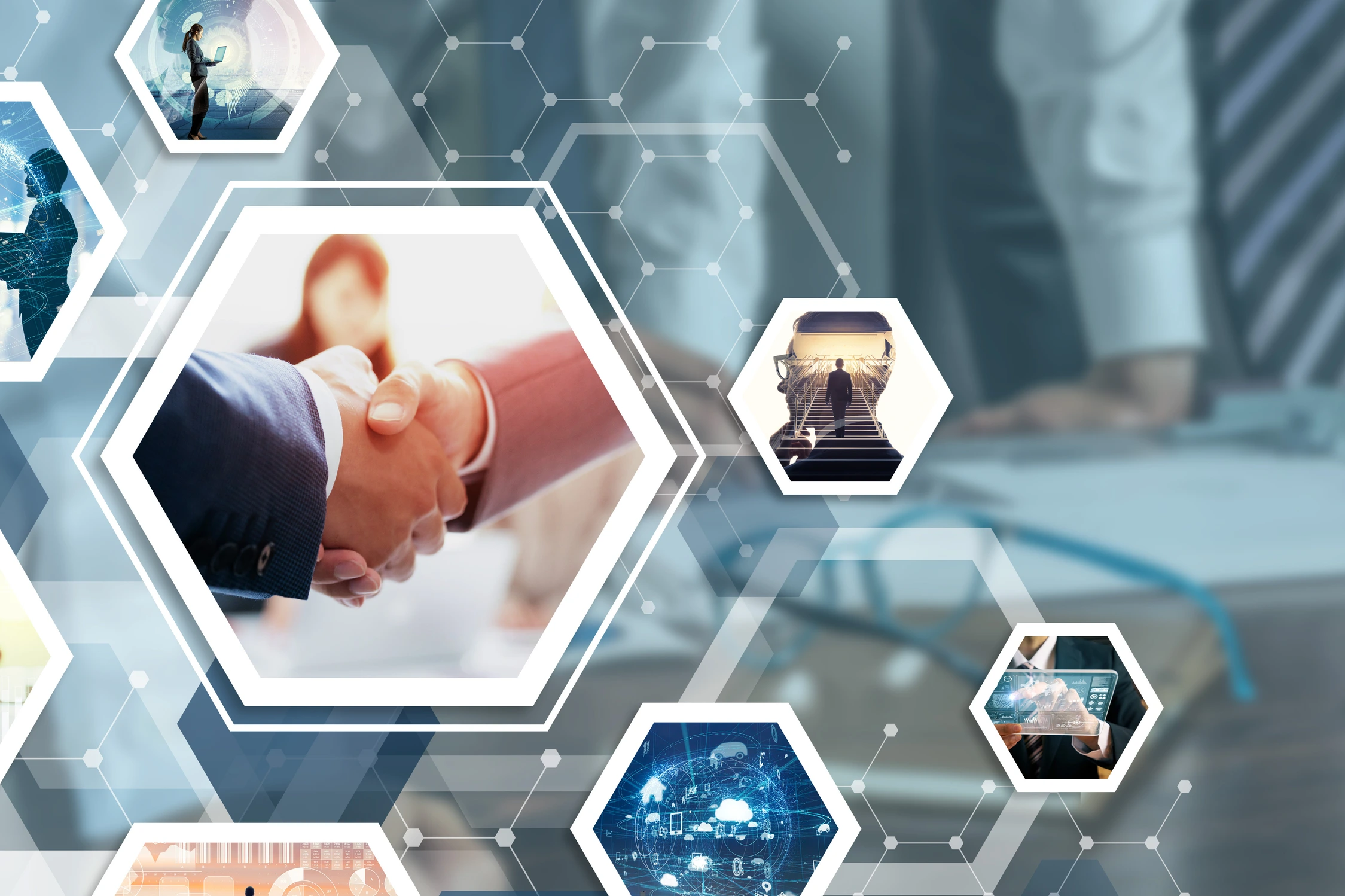 business and network