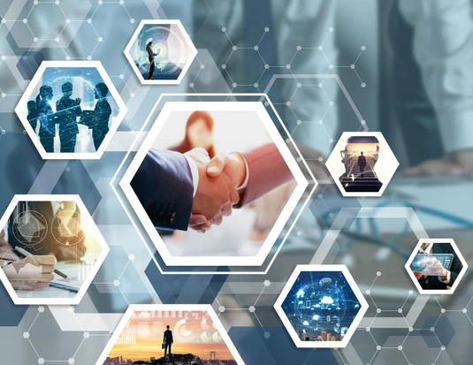 business and network